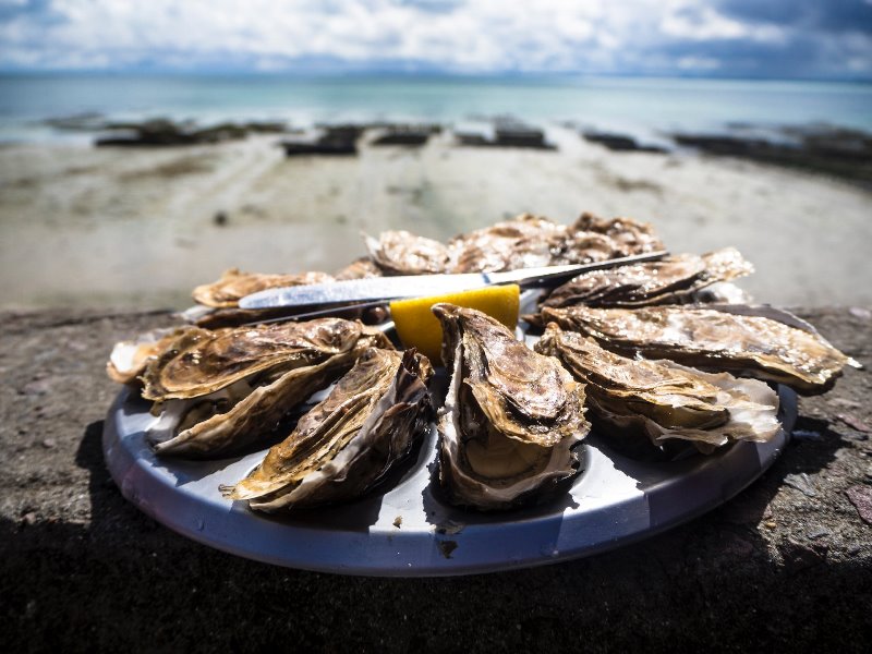 Site - Florianópolis se prepara para sediar 1º Encontro Brasileiro das Cidades Criativas Unesco da Gastronomia